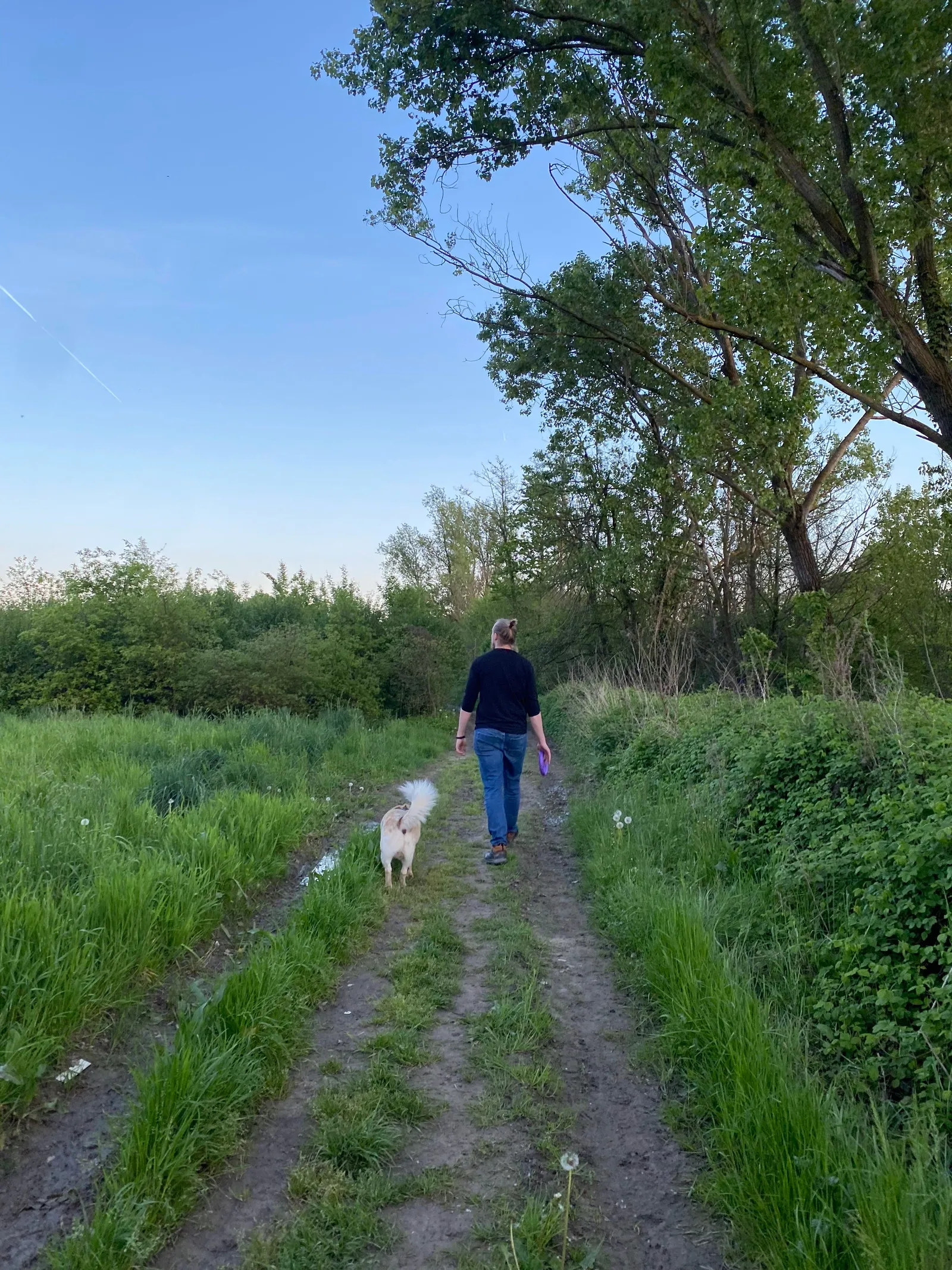 Copertina PASSEGGIATE DIDATTICHE